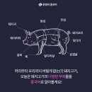 내맘대로돼지 이미지
