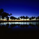 하모니카 (연주자) 이미지