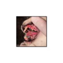 S동물의료센터 이미지