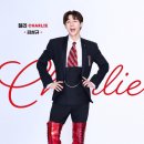 규 이미지