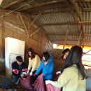 보성읍행정복지센터 이미지