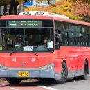 세운버스 이미지