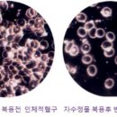 약석
