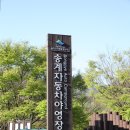 월악산국립공원 송계자동차야영장 | 월악산국립공원 '송계자동차야영장' 비 예보엔 국립공원 야영이지_250523