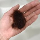 세마약국 | 마운자로 효과 기대만큼 드라마틱 할까? -15kg 마운자로 부작용 후기까지
