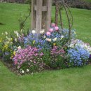 여왕의정원 이미지