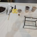 원예 테라리움 이미지