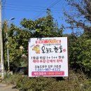 오늘도한우경기 | 오늘도한우 김포고촌점_ 고촌한우 현대아울렛맛집 숯불구이
