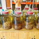 개성삼계탕닭한마리 이미지