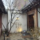 호호함박 | [익선동/돈까스] 한옥 분위기에서 먹는 호호식당 히레까스랑 함박스테이크 솔직 후기
