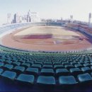 운동장 - 포항시 남구 새천년대로434번길 9 | 운동장