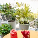 쏘울메이트 이미지