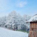 원두막목장 이미지