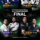 스파이더 - 서귀포시 중앙로 53-1 | 스파이더