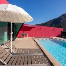 프라이빗핑크트리 이미지