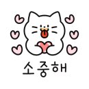 코코버블티 홍대메인거리점 이미지