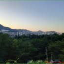 여명