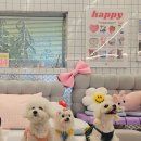 멍키즈 이미지