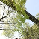 (주)프리미어플랜 | 🌿 강남 한복판에서 꿈꾸는 로맨틱 가든 | 베스트웨스턴 강남 야외웨딩 리얼 후기 (강남야외웨딩 추천!) 💍