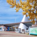 (주)나비원 이미지