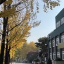 국립공주대학교 | 국립공주대학교 공주캠퍼스에서 가을 즐기기🍁