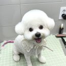 진접솔동물병원 이미지