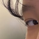 탐나는속눈썹 - 남구 | 제주속눈썹| 리프 솔직후기
