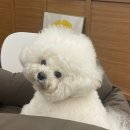 살피정원 이미지