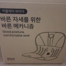 (주)와이더잇 | 커블체어 와이더 후기 (자세 교정용 의자)