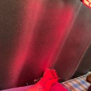 유앤미한의원 이미지