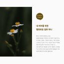 더마피스 이미지
