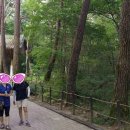 원주길카페촌 Daum카페