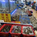 수산시장 티스토리