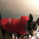 양지초등학교+부안초등학교 이미지