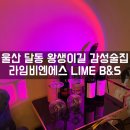 울산 달동 왕생이길 분위기좋은술집 추천 &lt;라임비엔에스 LIME B&amp;S&gt;