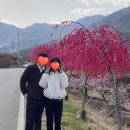 몽은당 이미지