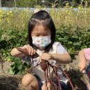 아이캔킨더유치원 이미지