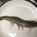 석호수산식당 이미지