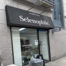 셀레노파일 플라워스튜디오 비숑다발 후기
