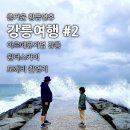 강릉여행#2, 포켓몬빵으로 시작한 하루, 아르떼뮤지엄, 원더스카이, 도깨비촬영지까지