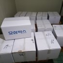 봄삼 이미지