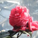 햇살정원 이미지