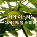 쥬와 이미지