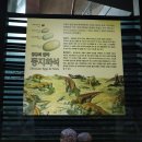 전남 아이와 가볼만한곳 해남 공룡박물관, 명량대첩 해전사