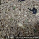 종합반찬 이미지