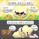 레인스튜디오 - 서귀포시 세화강왓로 66-9 | 레인스튜디오