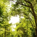 밝은햇살한의원 이미지