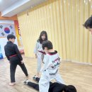 팀태권도장 | 친구들과 즐겁게 운동하는 청천동 태권도 합성태권도장 / 팀레드폭스 주짓수&amp;MMA