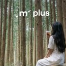 제주in향기