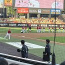 타울 | 대전 한화생명볼파크 중앙지정석 1층 100B구역 6열 17번 시야 후기 솔직한 직관 리뷰